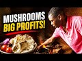 How to sale mushrooms to restaurants 