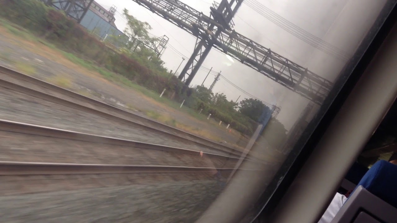Amtrak train ride (to Chicago)NS freight train single stack train passes by. YouTube