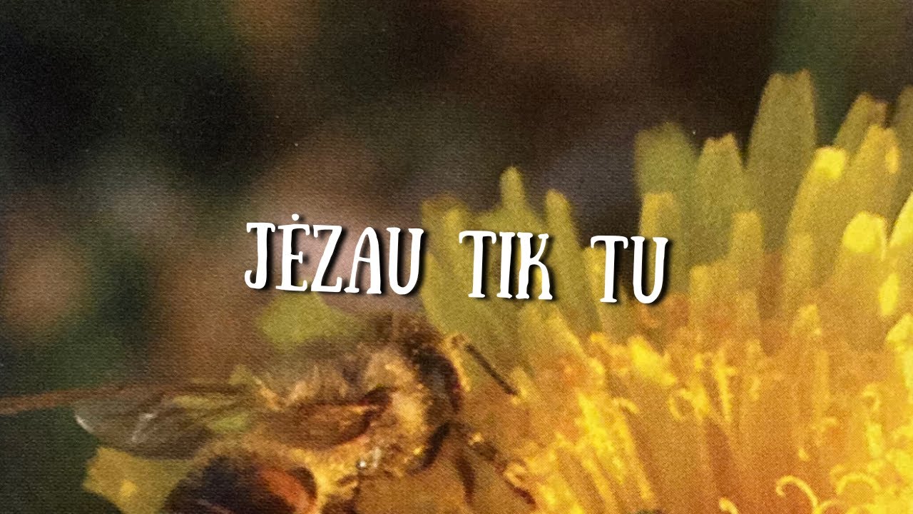 Jėzau, tik Tu | Iš albumo „Jo vardas ant lūpų“