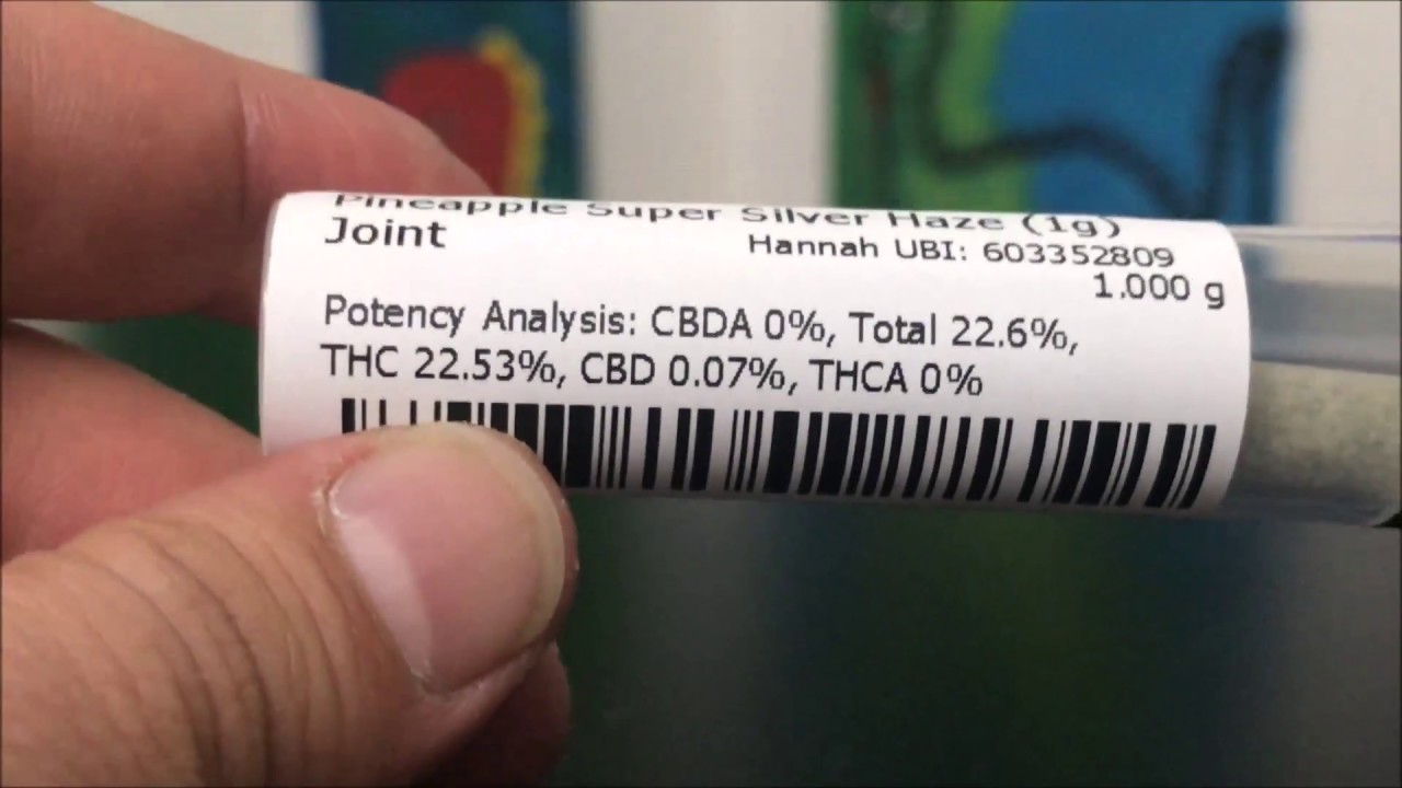 Pineapple Super Silver Haze By Dawg Star Cannabis Recreational Cannabis Review