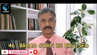 Sparkling Gems Bread Corn Is Bruised - 46 Johnson Kinsley El Gibbor Advent Ministries...