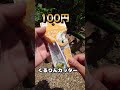 きゅうり　食べ方