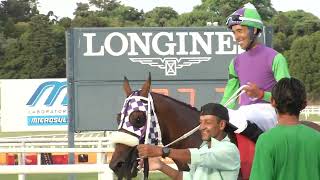 230122 c08 Zumaran/ LINDA DAMA