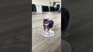 What's this? 😹 A tiny spinning cat has invaded the meeting room! So random, so cute.#toys #fidget