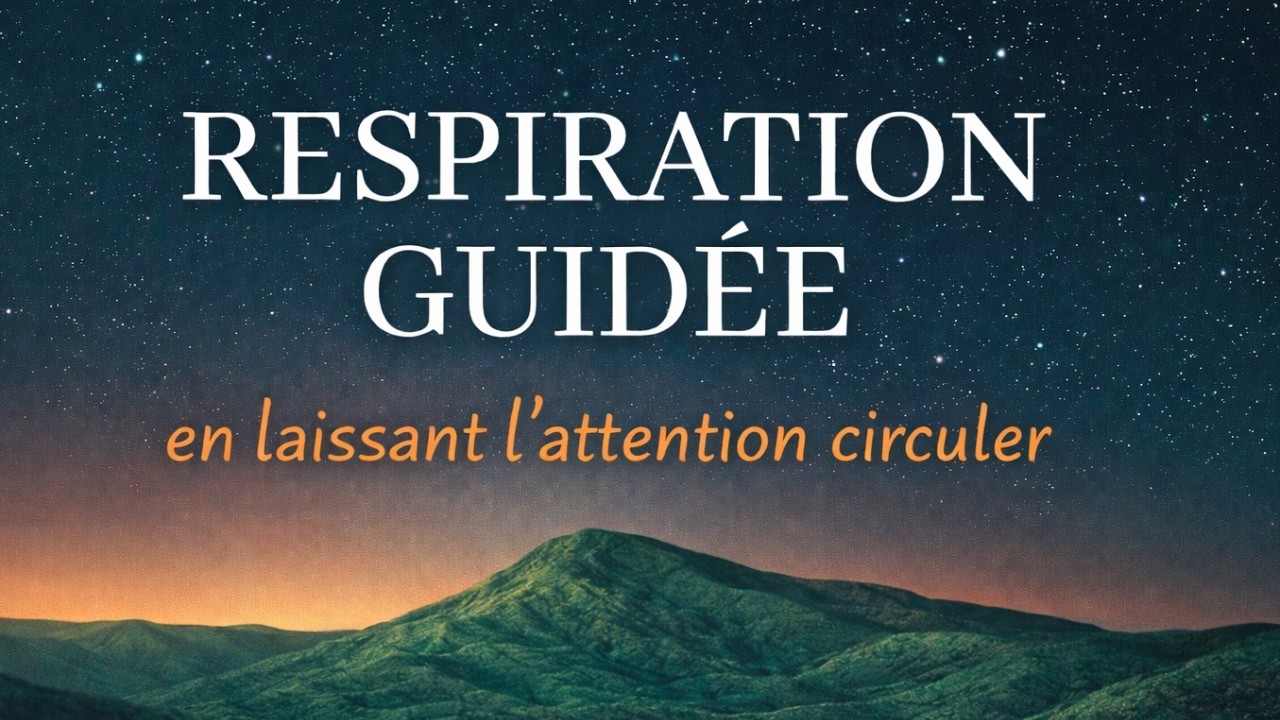 Respiration guidée : laisser l'attention circuler - 5 minutes