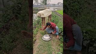 What's making a noise inside the pot 08