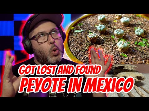 Getting Lost In Pueblos Magicos de Mexico (Mineral De Pozos)
