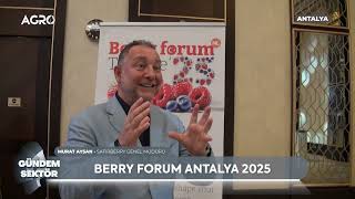 16 Kez Hasat Ediliyor 3 Yılda Masrafını Çıkaran Süper Meyve Blueberry Yaban Mersini