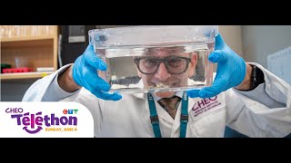 Dr. Jason Berman and zebra fish - CTV segment 2023