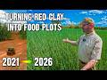 Transforming Red Clay into Healthy Soil: 6 Year Results