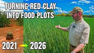 Transforming Red Clay into Healthy Soil: 6 Year Results