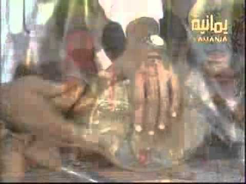 طارق عبدالحكيم يا ريم وادي ثقيف طرب وتراث يمني 