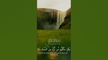 تلاوة عطرة من سورة العنكبوت بصوت القارئ إسلام صبحي ❤️ #quran #القران_الكريم #القرآن #تسيبيح
