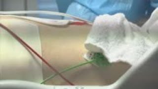 New CDC director speaks about COVID death numbers