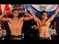 Ronald Cruz vs Xander Zayas Weigh-in and Face Off! | Taylor vs Lopez Undercard