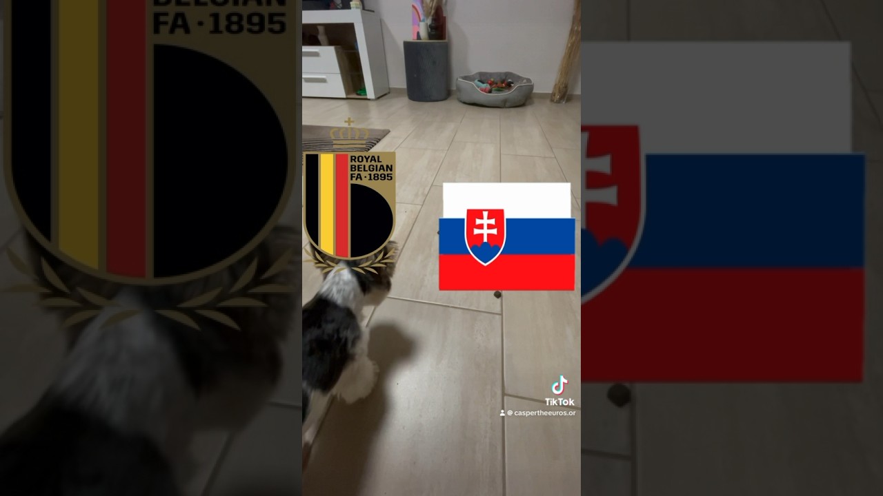 THE EUROS 2024 ORACLE- CASPERTHEYORKIE 