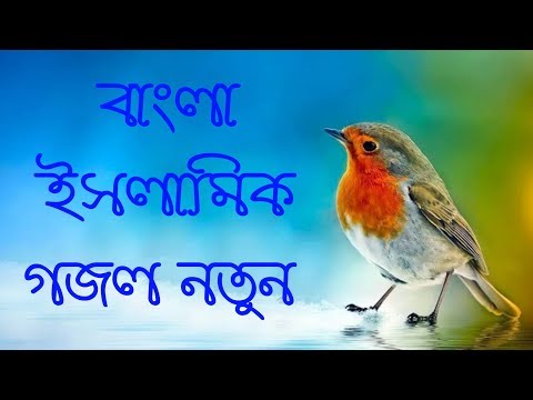 ka-bojiba-dokko-amar-bangla-gojol-islamic-bangla-gojol-new-2019-bangla-islamic-song-new-2019