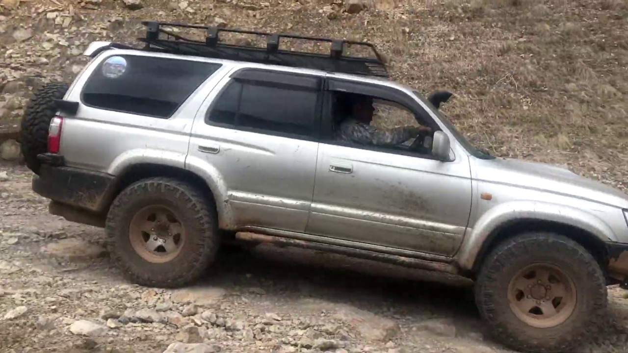 Бермамыт на автомобиле