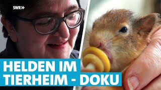 Jobs im Tierheim Esslingen