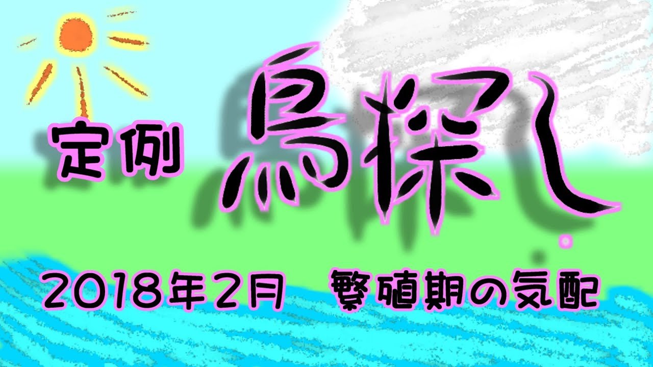 コサギ 足 定例鳥探し 2018年2月 ヒクイナとレンジャク