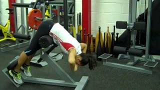 Watson Gym 45' Hyper Extension