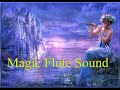 Magic Flute Sound - Flutist Concert Programs