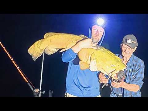 50lb FLATHEAD | 2 Nights w/ 73yo DAD for 282lbs (River CAMPING) Pt. 1