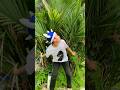 WARNING‼️ Monster Godzilla #godzilla #umpintv #funny #subscribe #shorts #trending