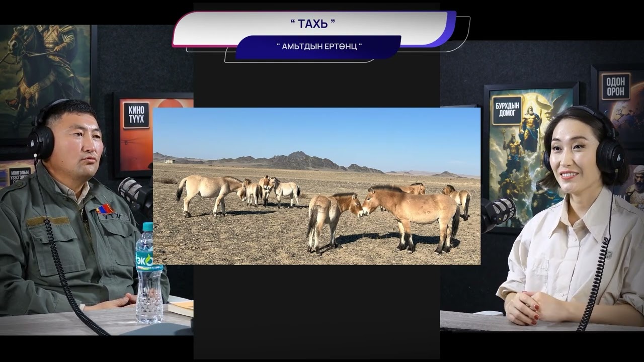 Тэнгэрийн хүлэг тахийн аврагдсан түүх - АМЬТДЫН ЕРТӨНЦ