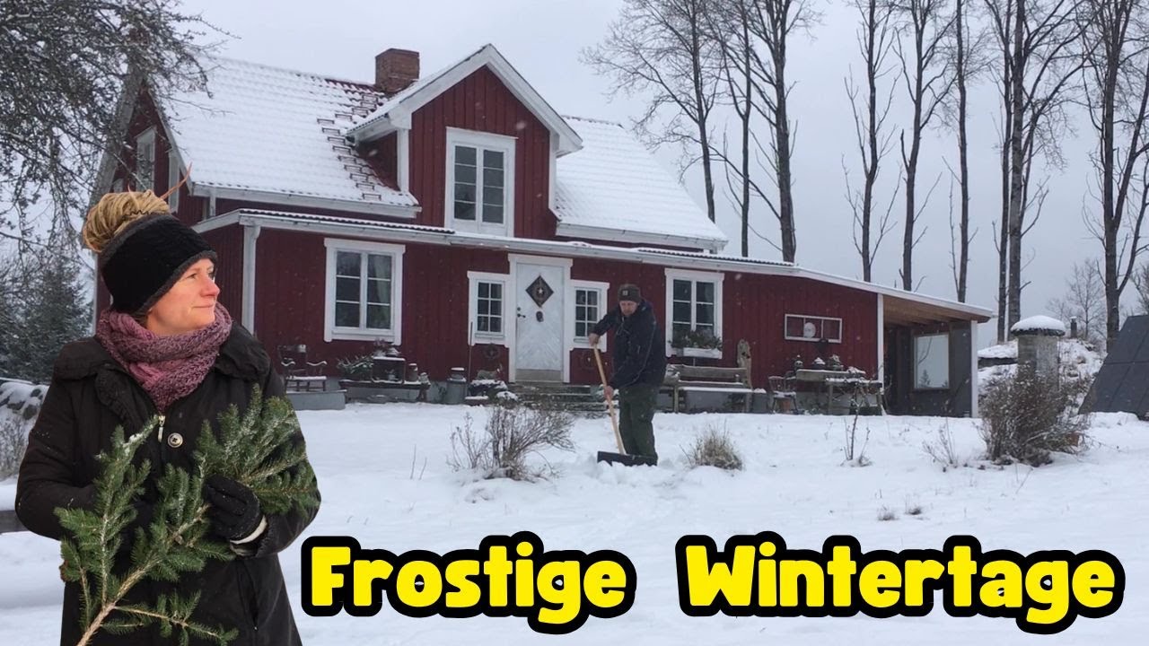 Das rote Haus im Wald: Frostige Wintertage & stille Neuanfänge - Ausmisten, Loslassen & Neustarten