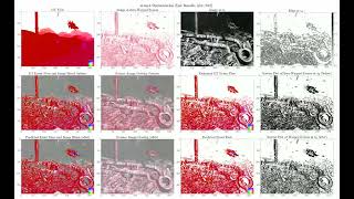 Predicting Underwater Optical Flow using Events and Frames: Scene 4