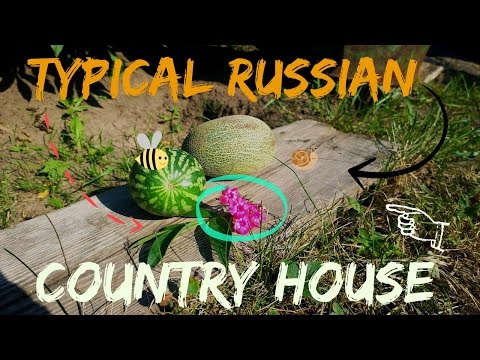 Типичная российская дача I Typical Russian country house