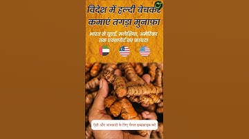 Turmeric export business