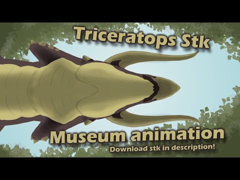 Triceratops Stk / Animation for museum