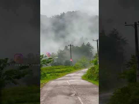 طبیعت زیبای شمال و نوازش روح و روان