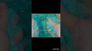 BSN #asmr #shortsfeed