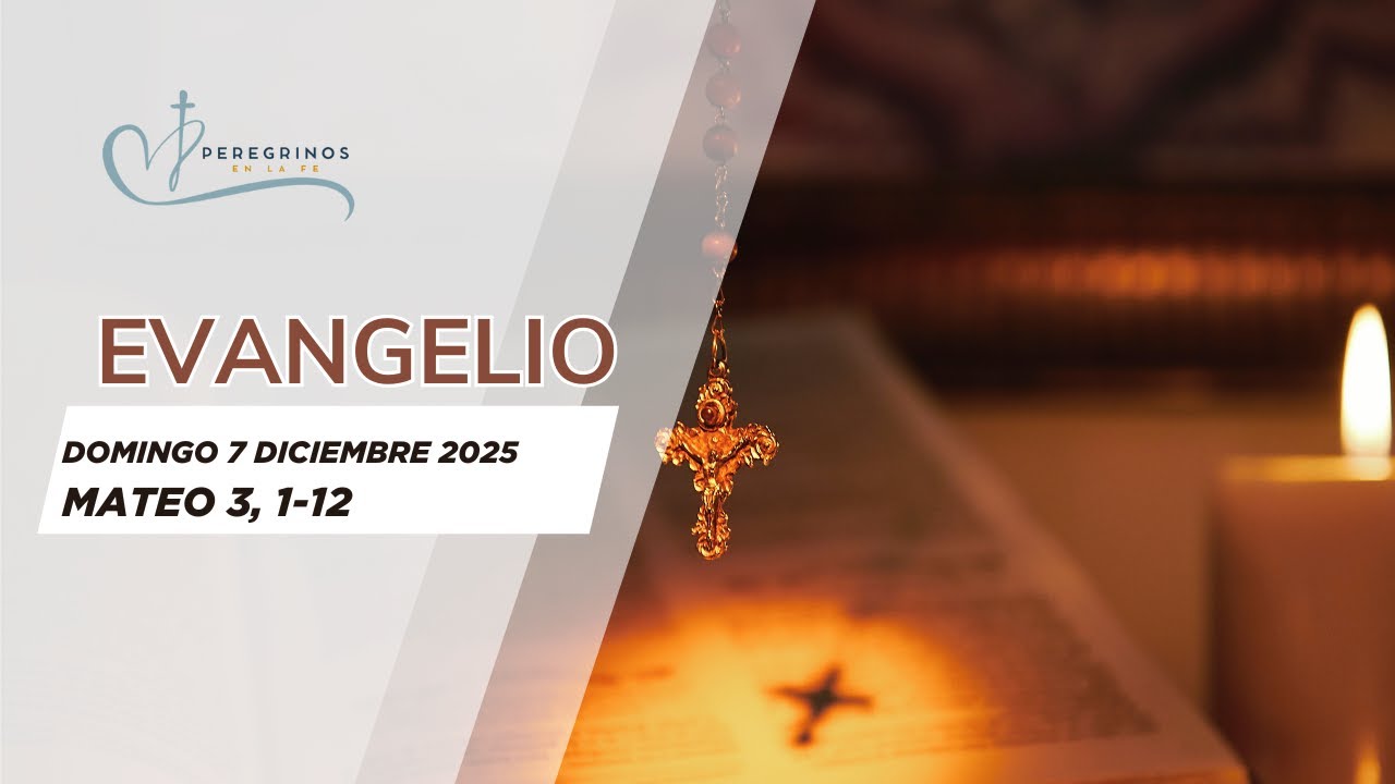 Evangelio del domingo 7 de diciembre 2025 - YouTube