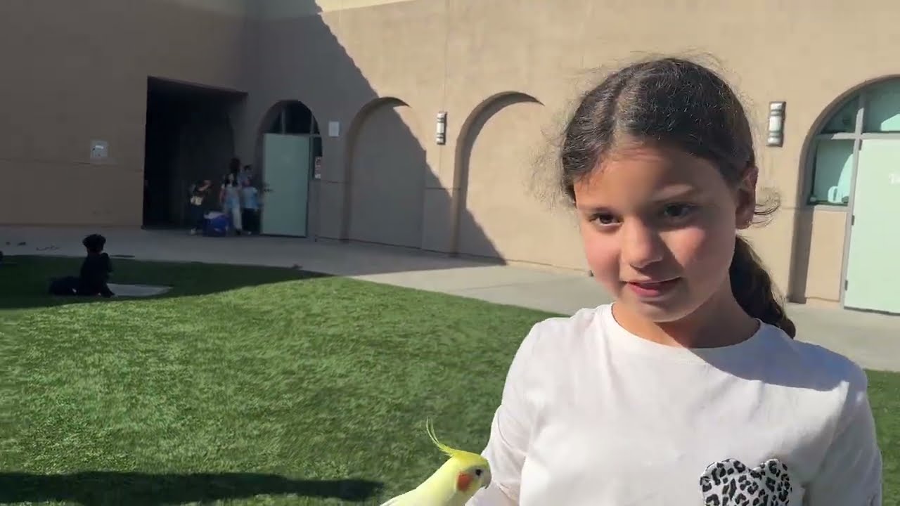  عصفور مريم   ￼ School visit 3rd grade maryam’s bird