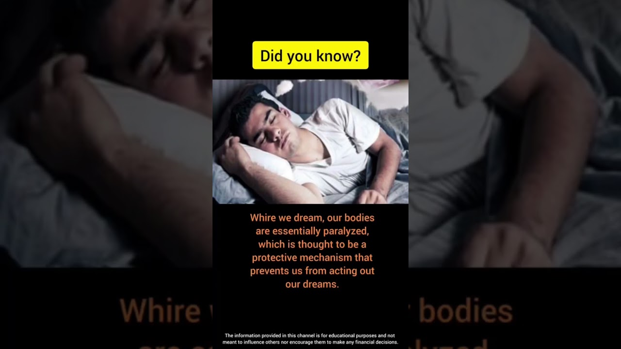 Sleep 😴 |  Interesting Fact - 82 