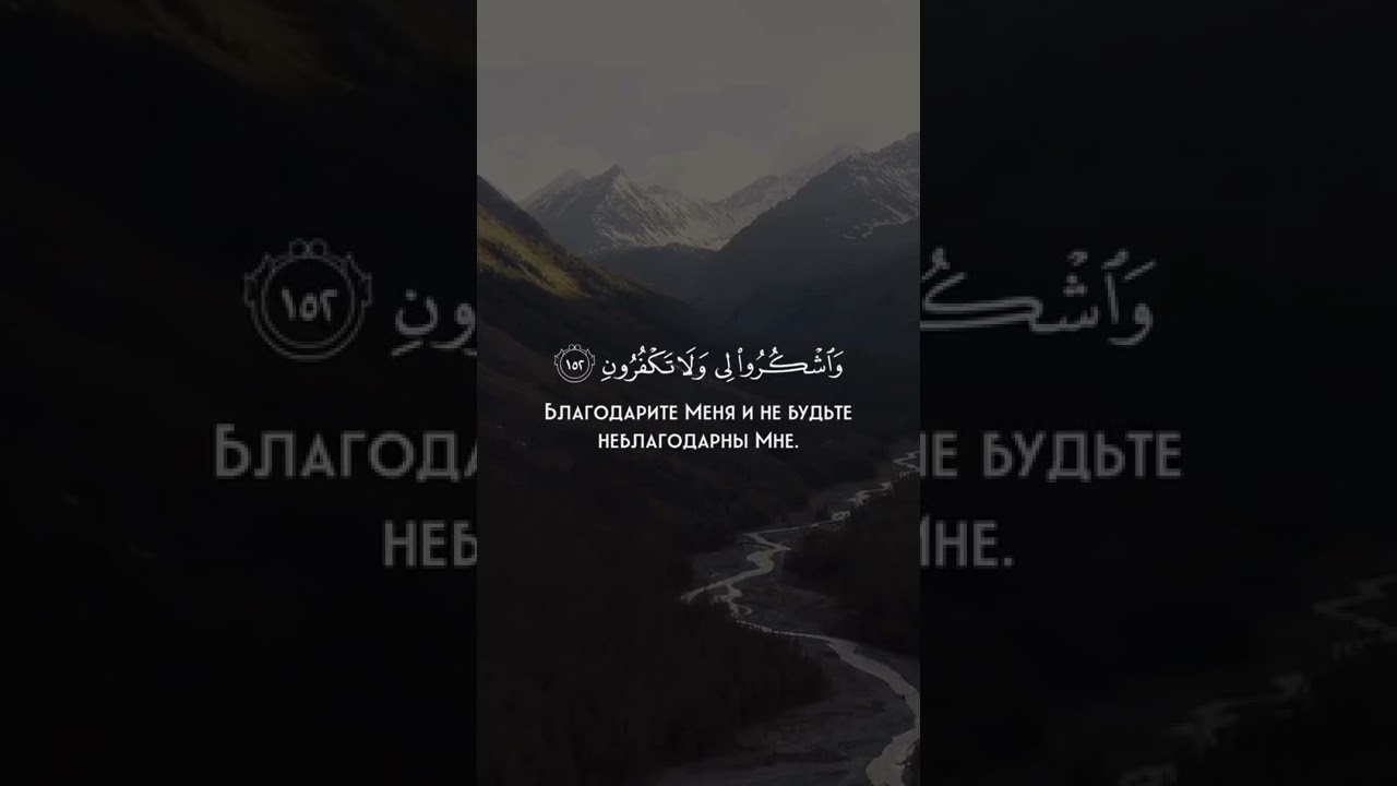 Красивое чтение Корана.Сура 2.«Аль-Бакара»(Корова).Аяты 152-153.Чтец-Али Умаров.