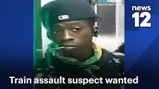 A Train Ride Ends In Violence In Downtown Brooklyn Station News 12