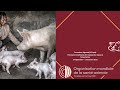 06  EO   Epidemiologie de la PPA Sub FR
