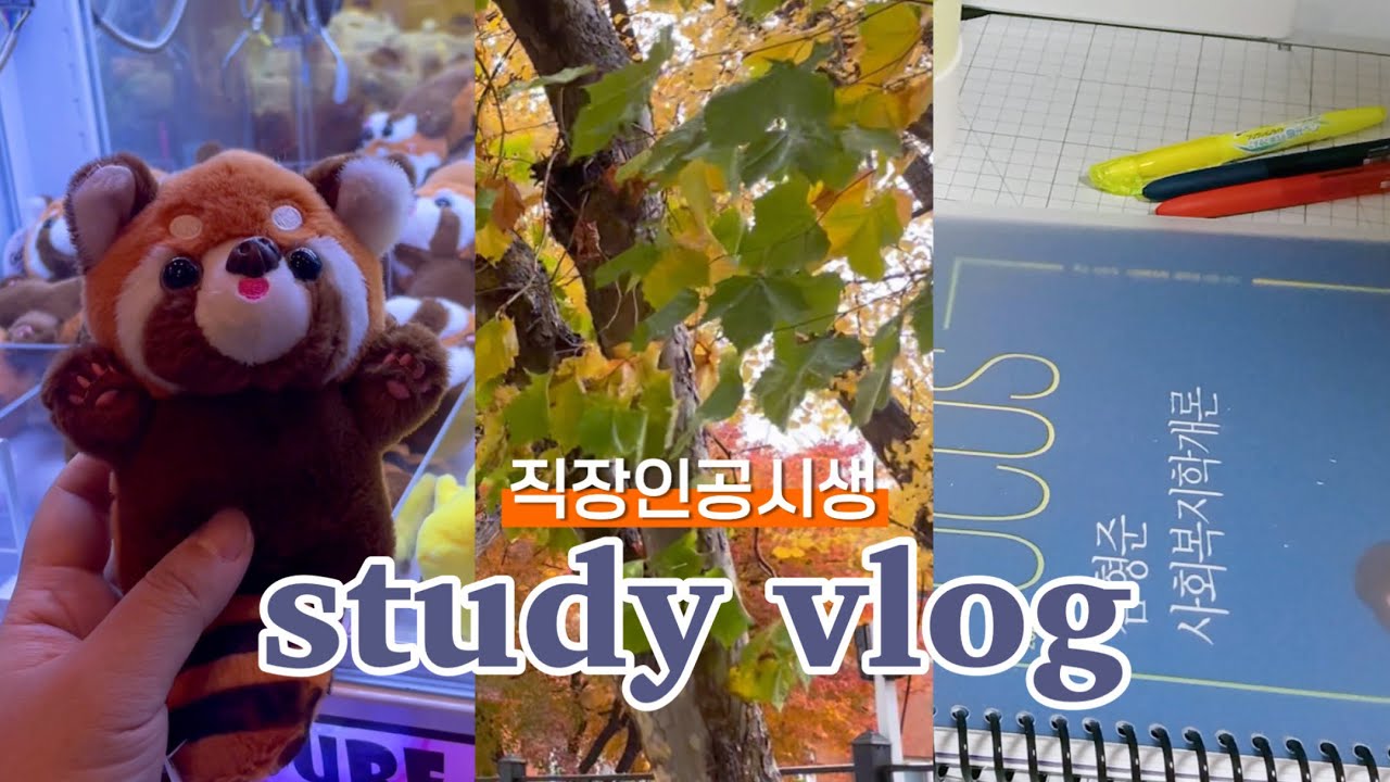 11월은 직렬변경하기 딱 좋은 계절 | 직장인공시생브이로그 | 사회복지직공시생 | 공부브이로그