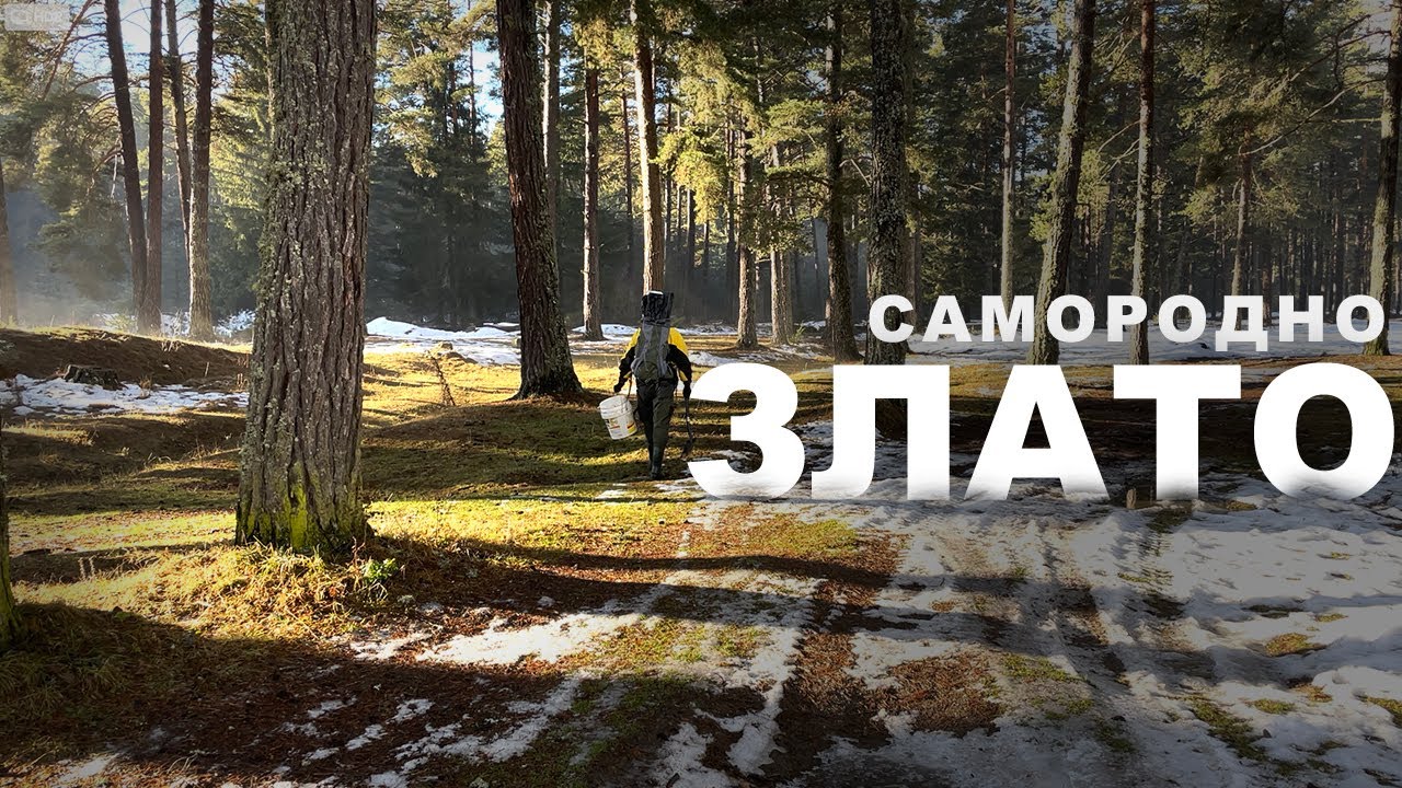 #01 Откриване на сезон 3 - първи нъгети и артефакти