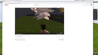 Using Firestorm's Auto Replace