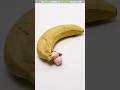 Piggy Eating Banana 🍌 | New Viral Gadgets, Smart Appliances, Kitchen Utensils/ Home Inventions