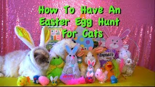 How to Have An Easter Egg Hunt For Cats - Furball Fables