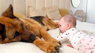Baby Tries New Moves With Her German Shepherd Nearby