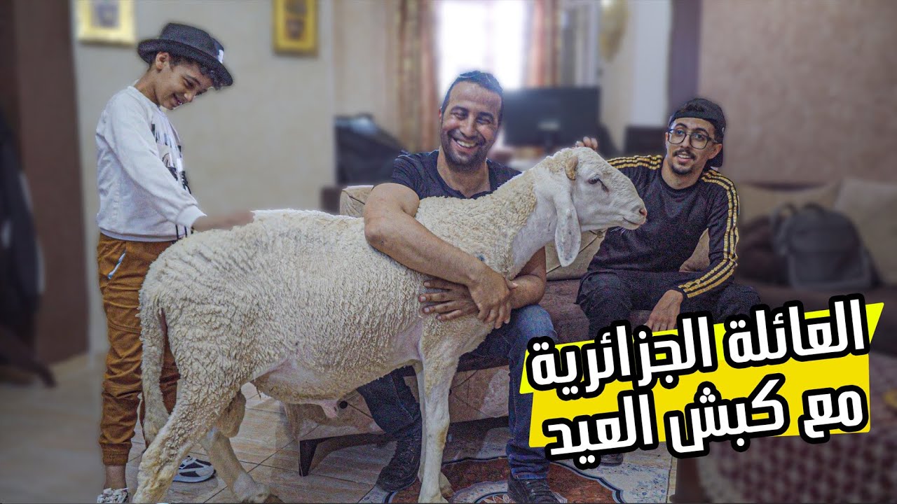 كبش العيد في الجزائر 2023