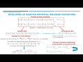 CMMSE: Prof. María Loginova
